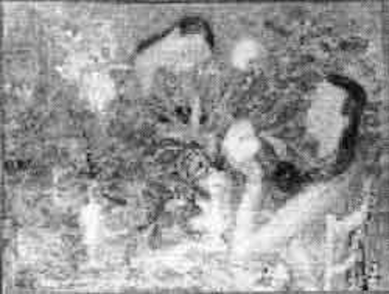 Jeunes filles au bouquet de tulipes by Le Pho