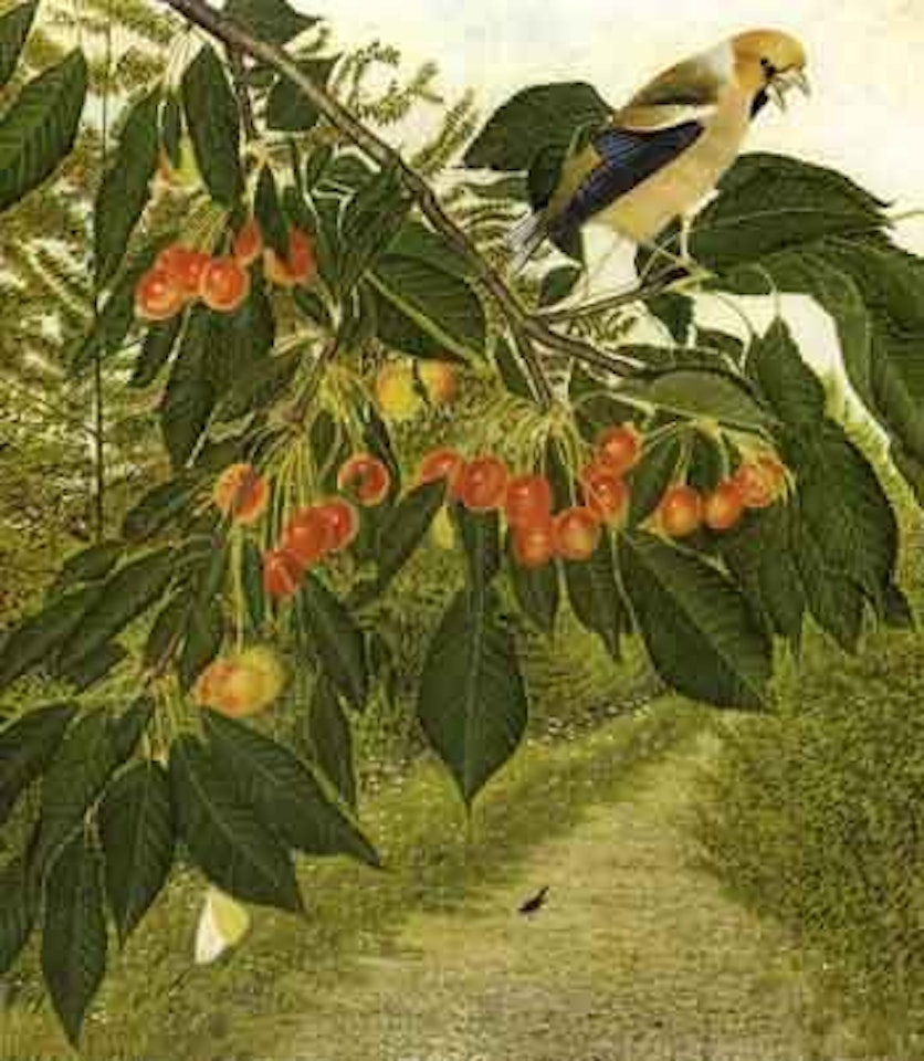 Cherry picker by Adolf Dietrich