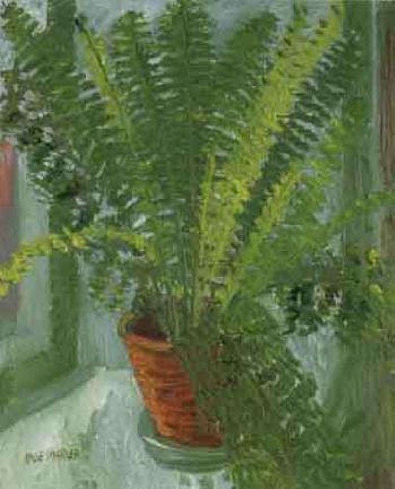 Fern in pot by Inge Schiöler