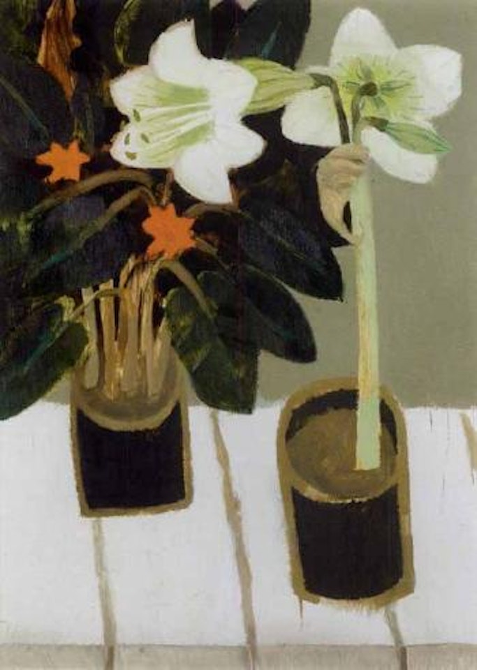 Still life with white amaryllis by Mary Fedden