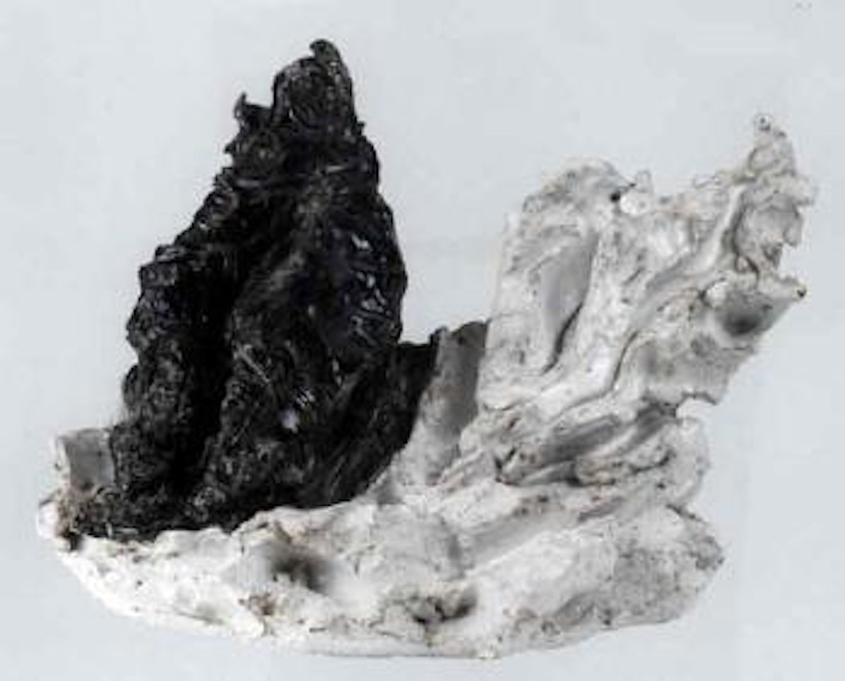 Seashells by Lucio Fontana