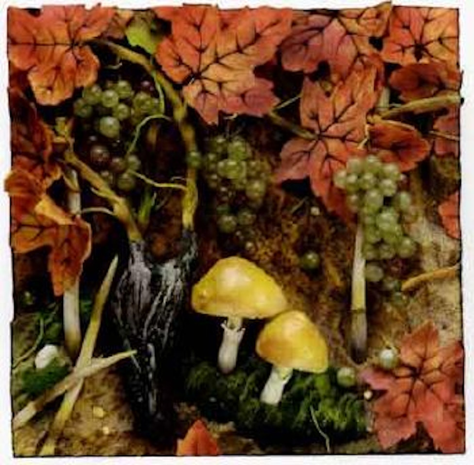 Autumn grapes by Piero Gilardi