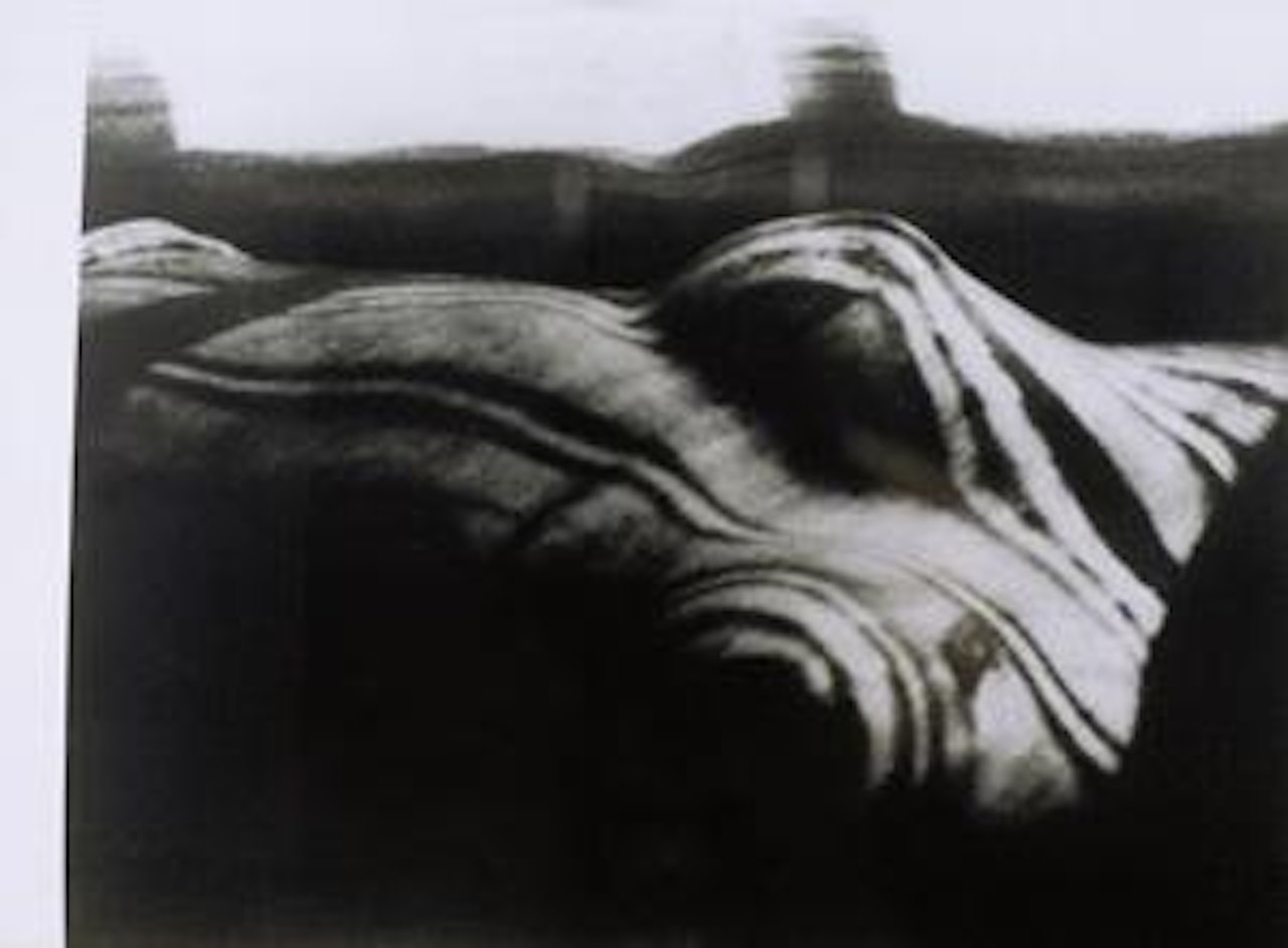 Nude by Man Ray