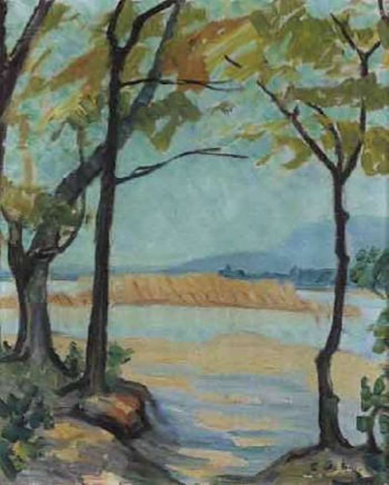 Morning on the Petersinsel by Ernst Geiger