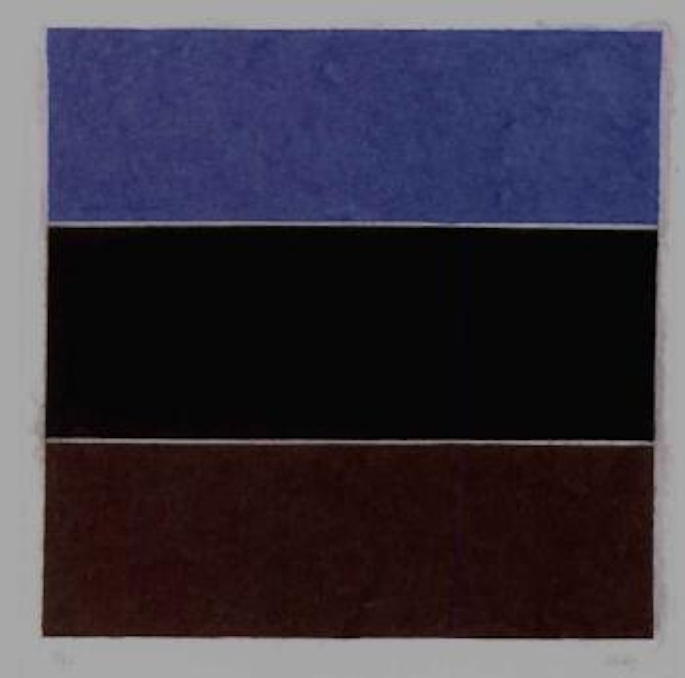 Coloured paper image XVII by Ellsworth Kelly