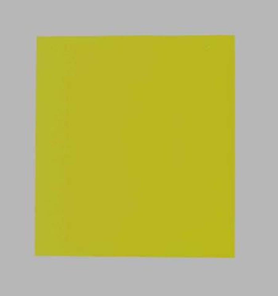 Two yellows by Ellsworth Kelly