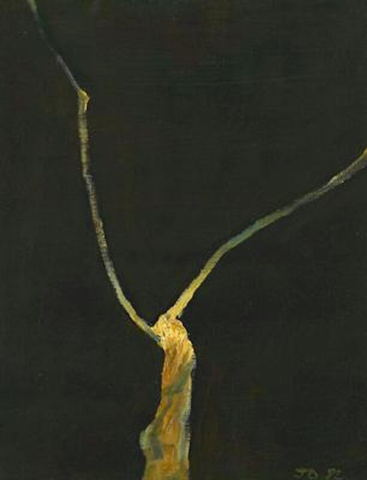 Burning stick by John Olsen