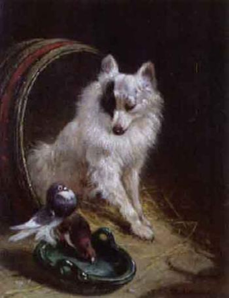 Feathered friend by Henriette Ronner-Knip
