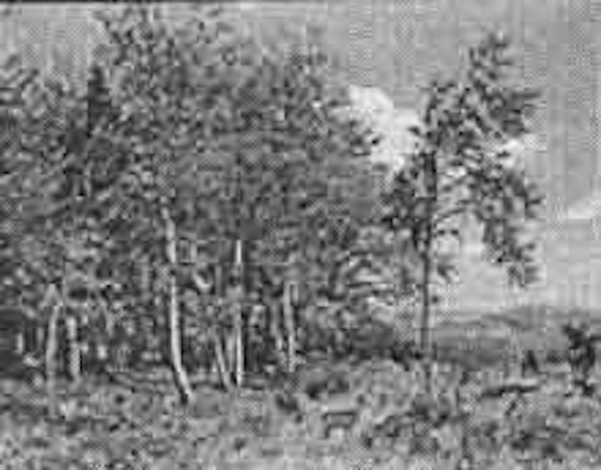 Landscape with trees by Josef Schmitzberger