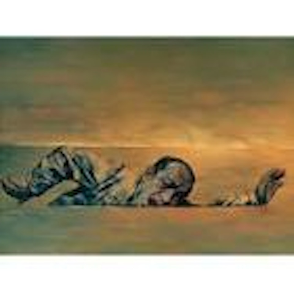 Struggling man series by Su Xinping