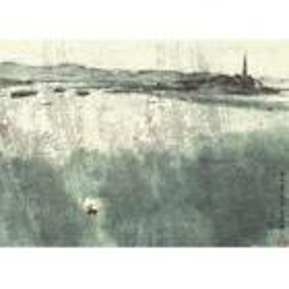 Spring rain on the west lake by Fu Baoshi