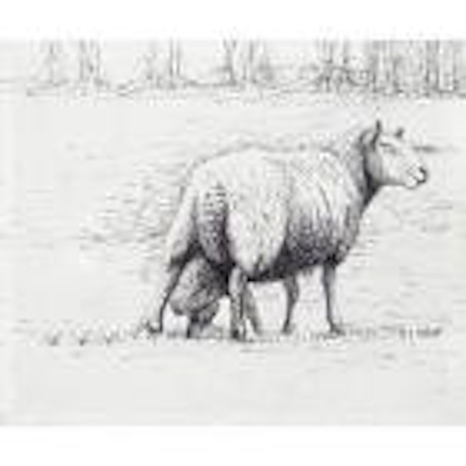 Sheep with lamb II by Henry Moore