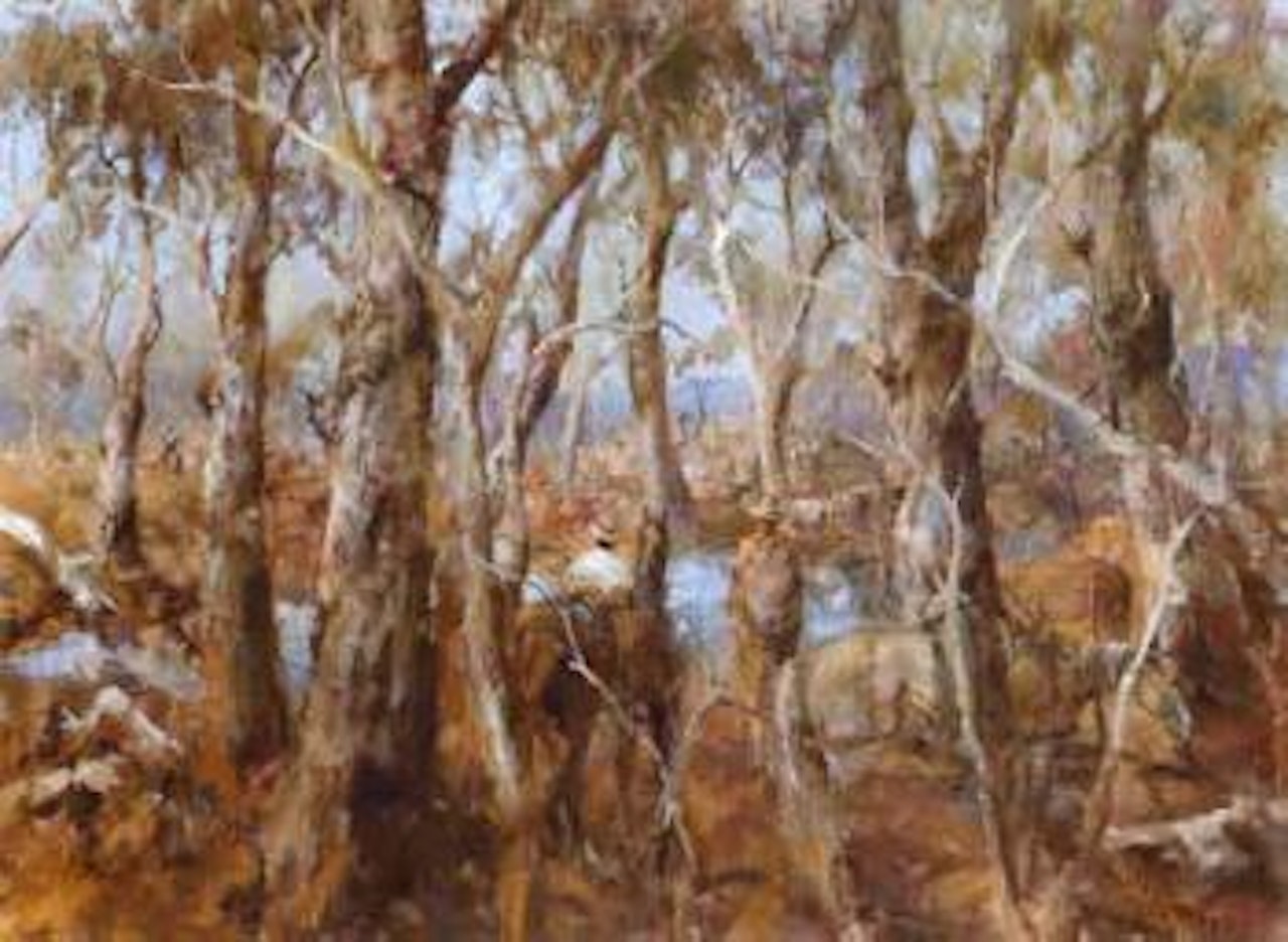 Along the Barcoo, Western Queensland by Hugh Sawrey