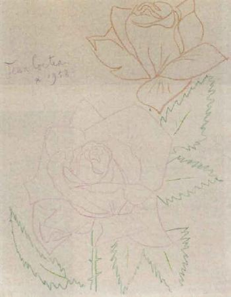 Deux roses by Jean Cocteau