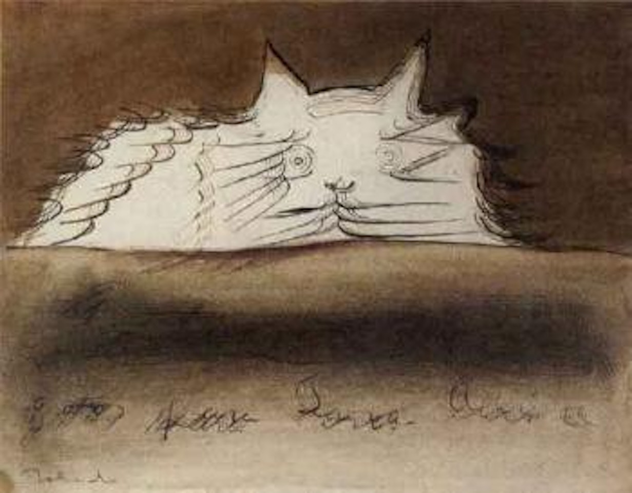 Untitled, cat by Francisco Toledo
