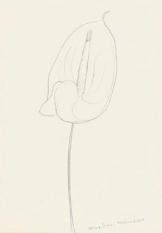 Untitled by Marc Quinn