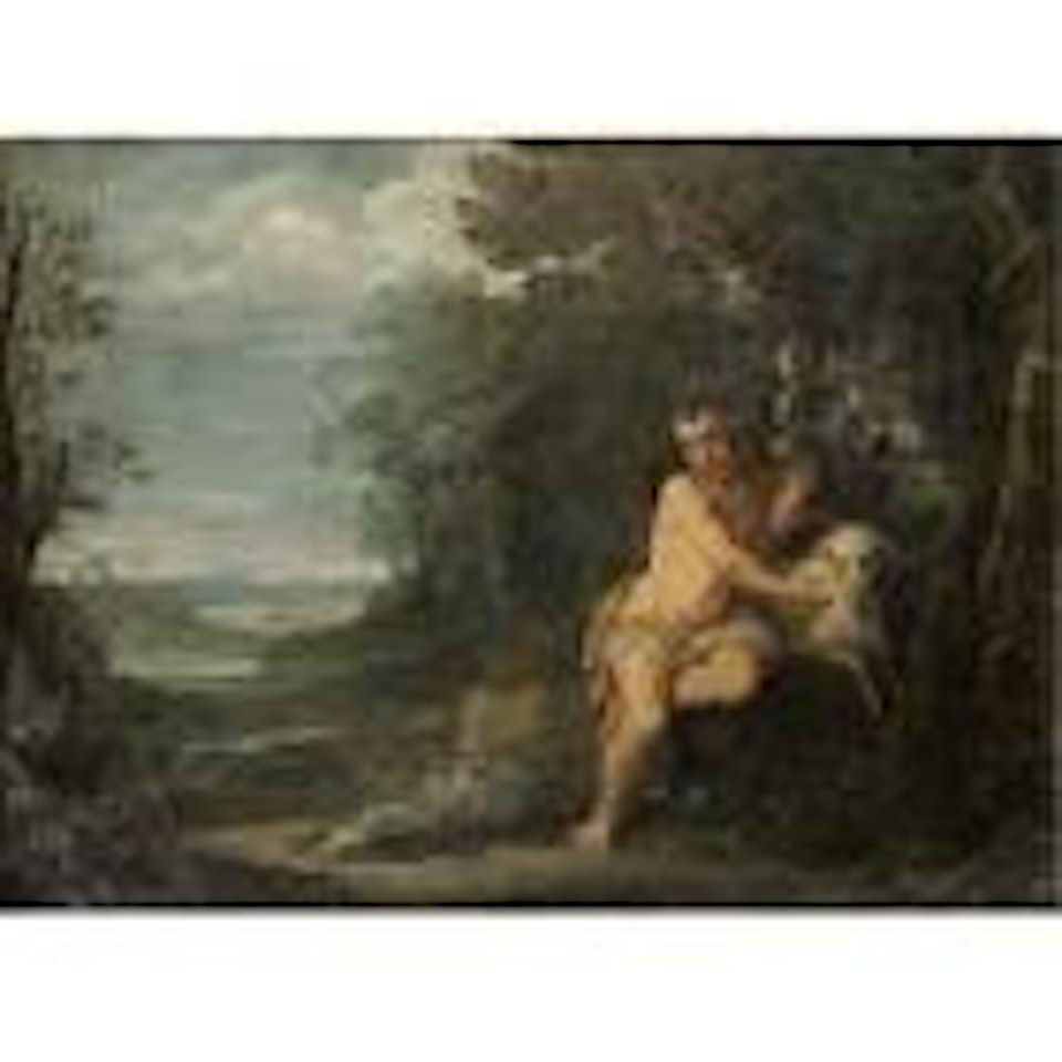 Saint Jon the Baptist in the wilderness by Annibale Carracci