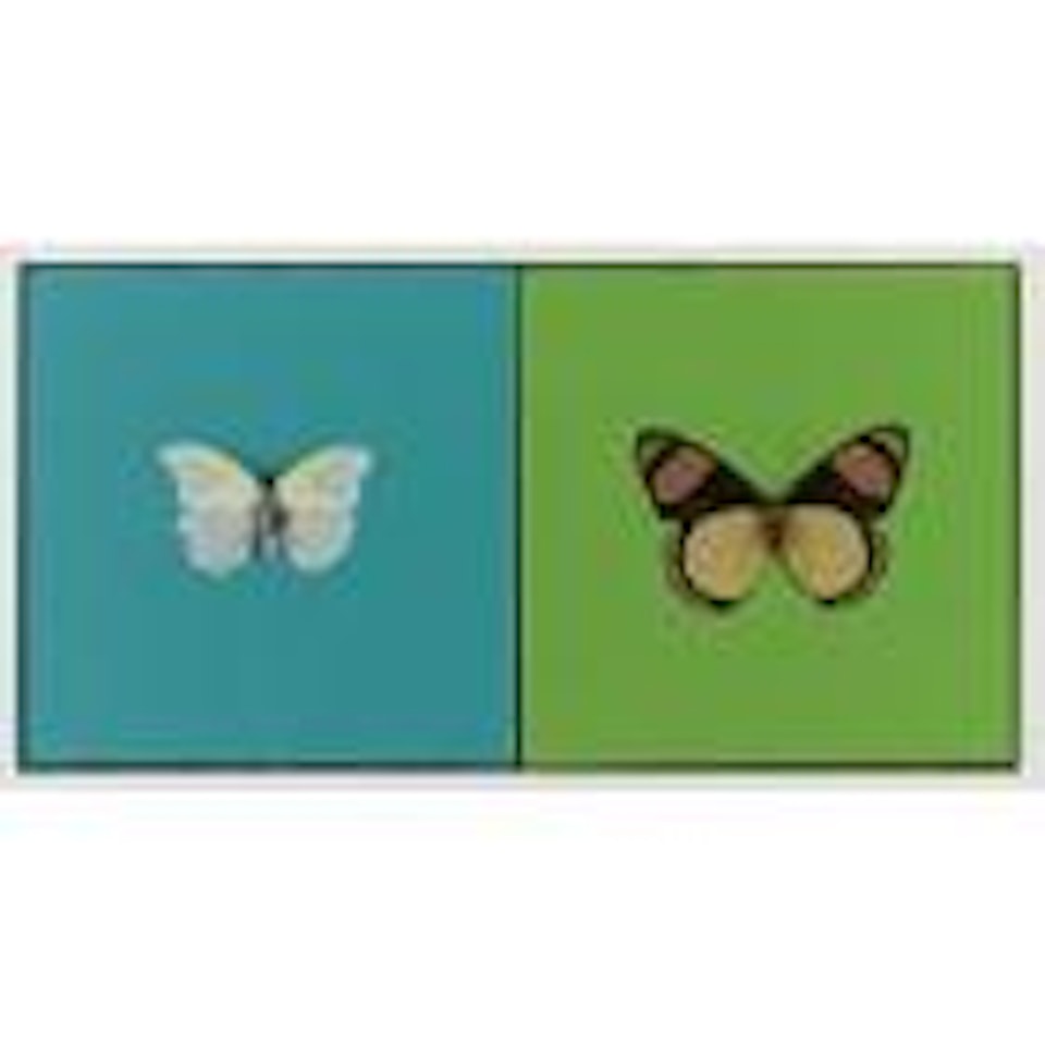 Love love by Damien Hirst