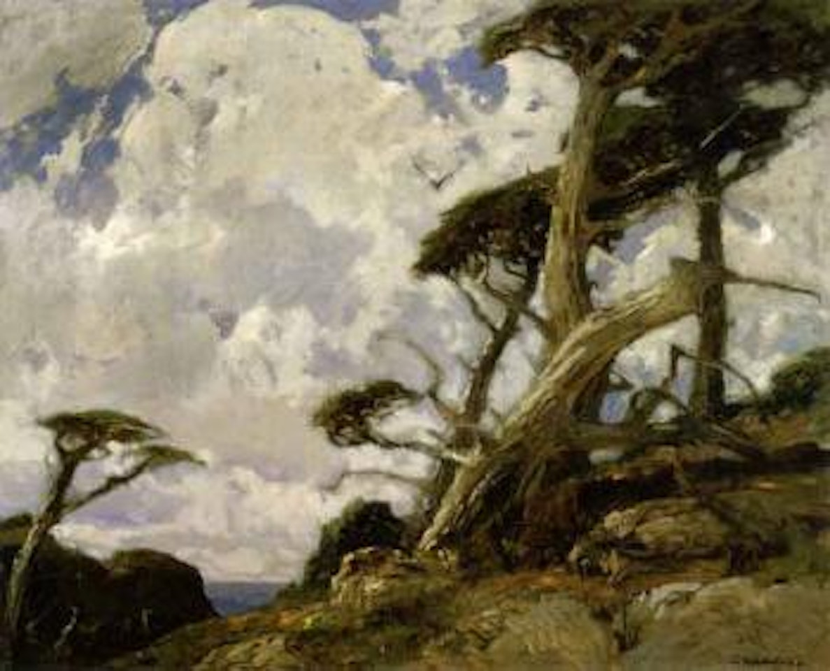 Windswept cypress, Point Lobos by William Ritschel