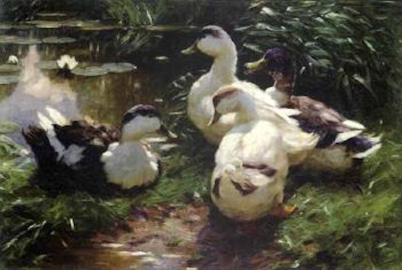 Four ducks by Alexander Koester