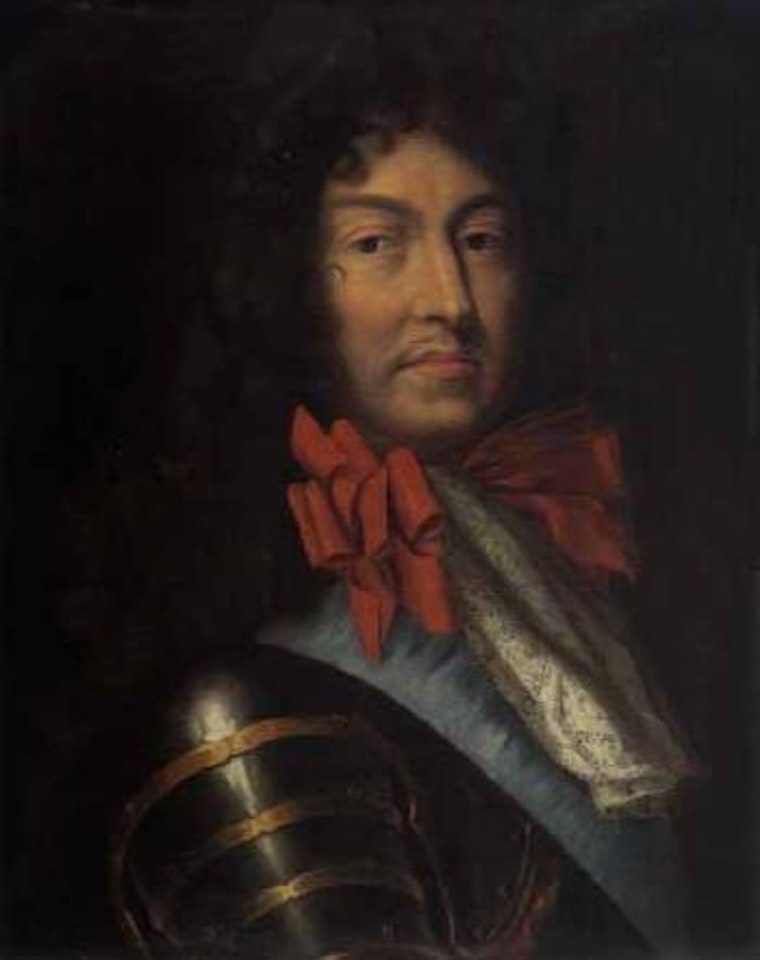 Portrait of Louis SIV by Hyacinthe Rigaud