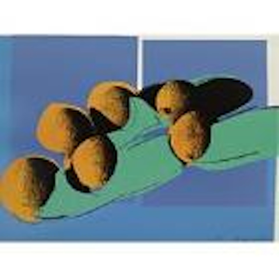 Space fruit, still lifes cantaloupes by Andy Warhol