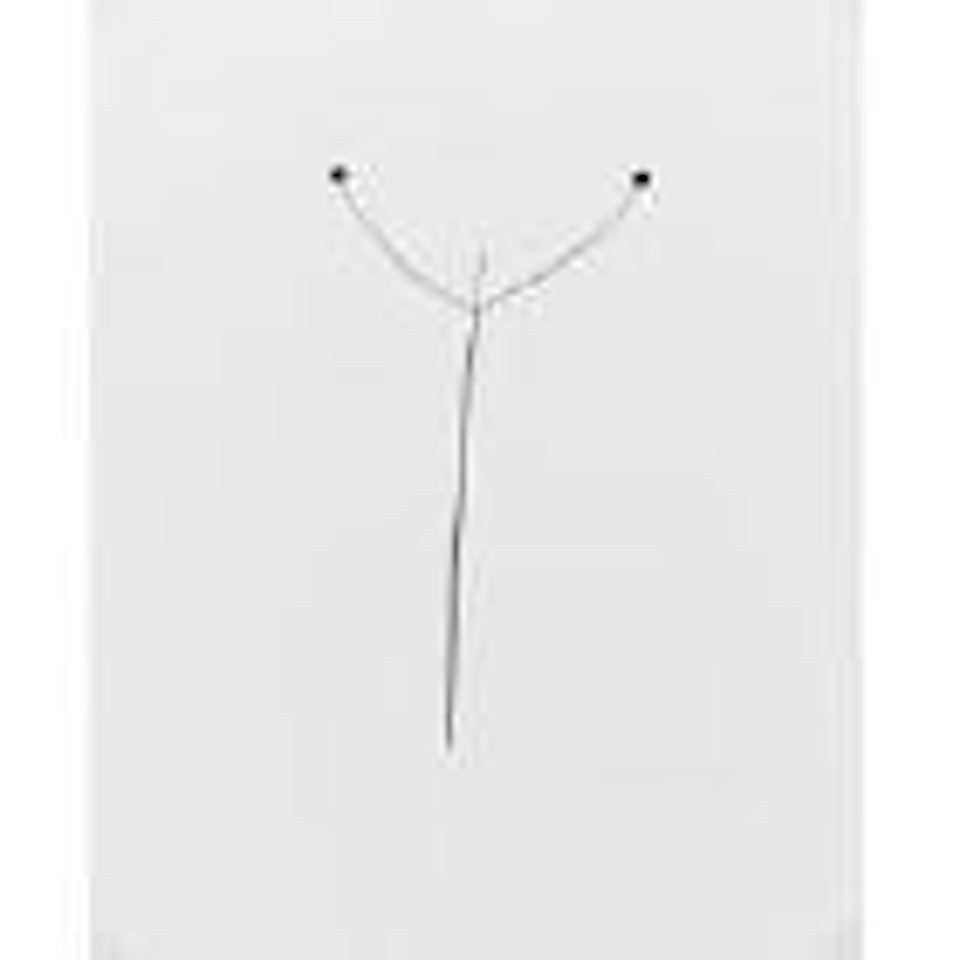 Selected images, Weed against sky, Detroit. Cape Cod by Harry Callahan