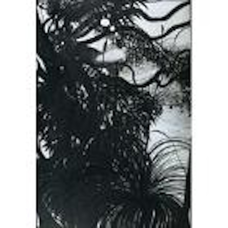 Everything by Brett Whiteley