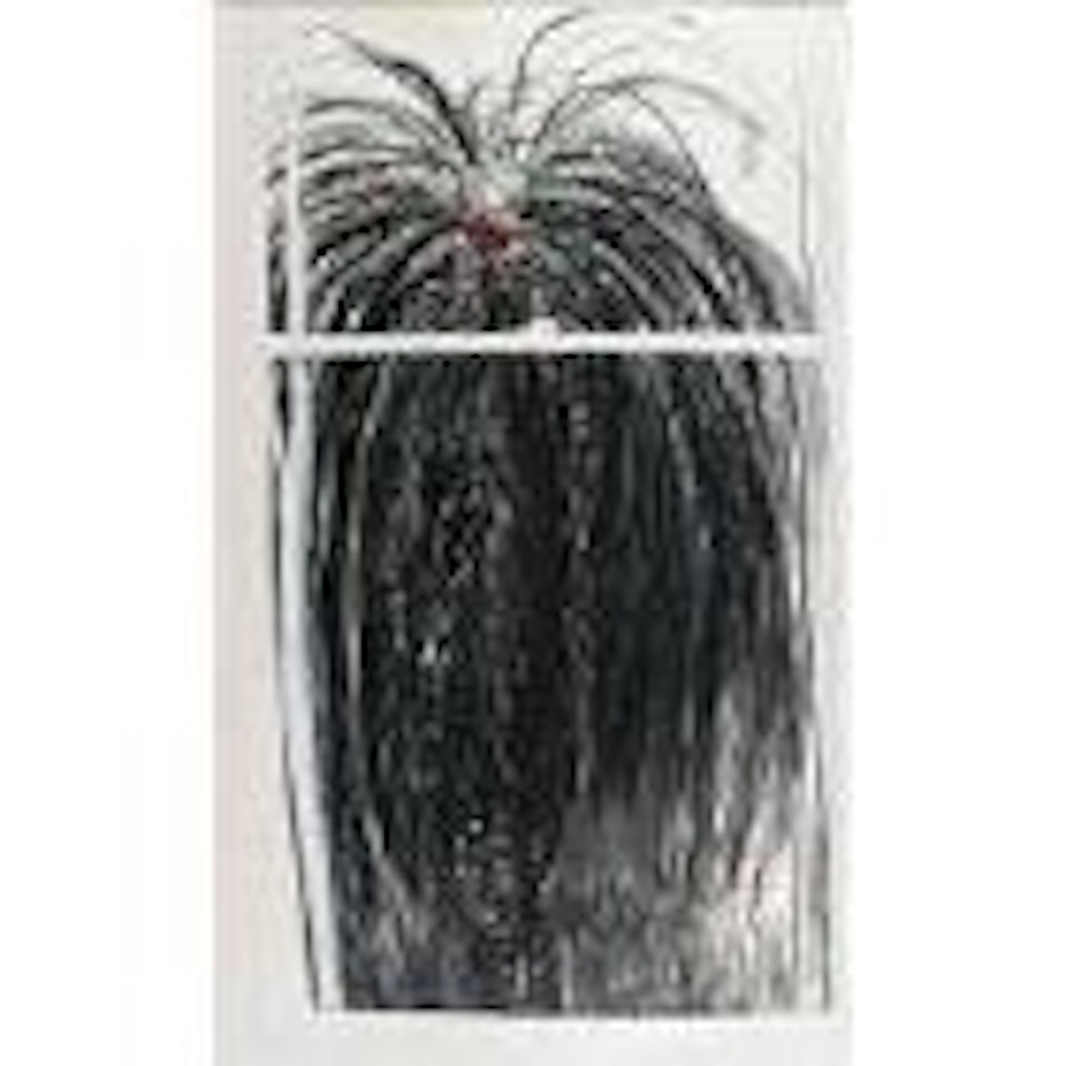 Palm tree by Brett Whiteley