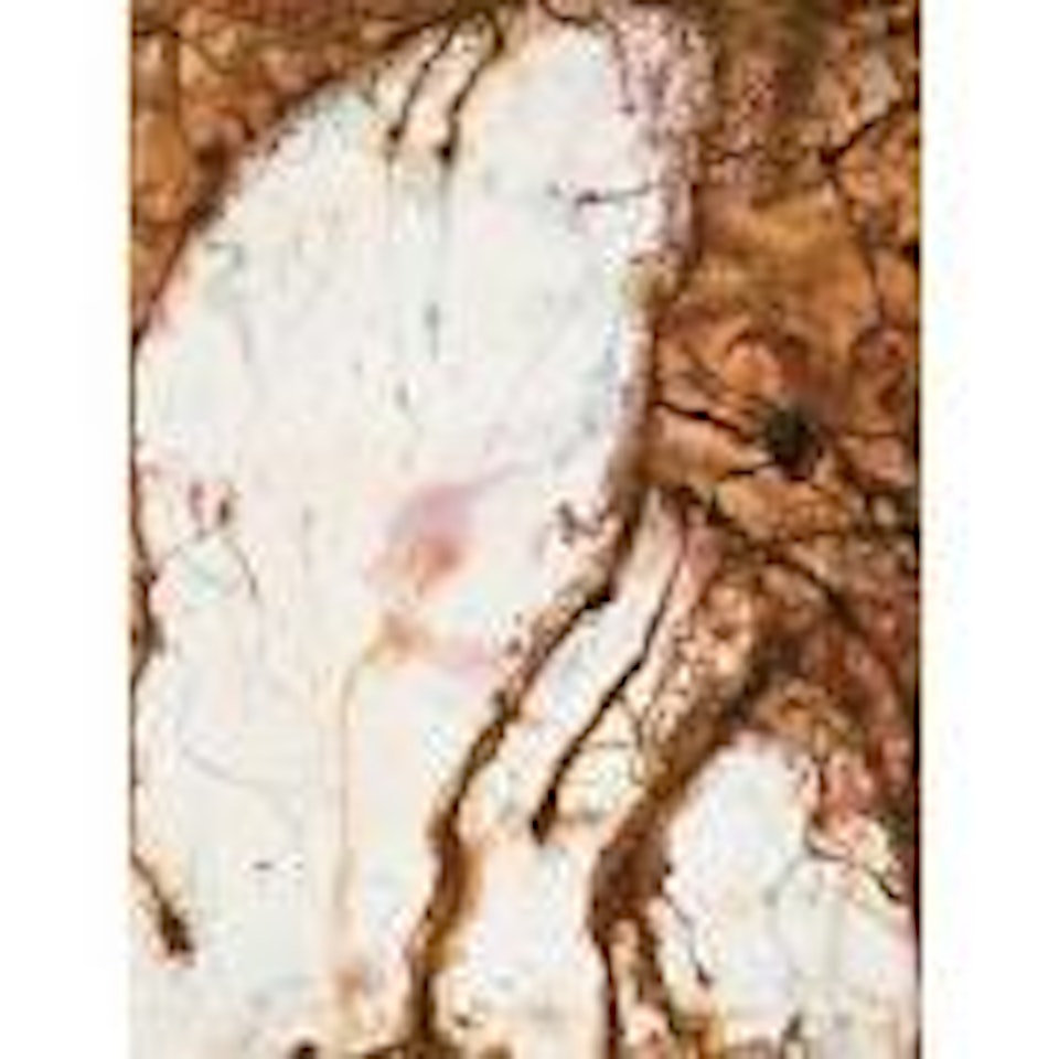 Inscape broome by John Olsen