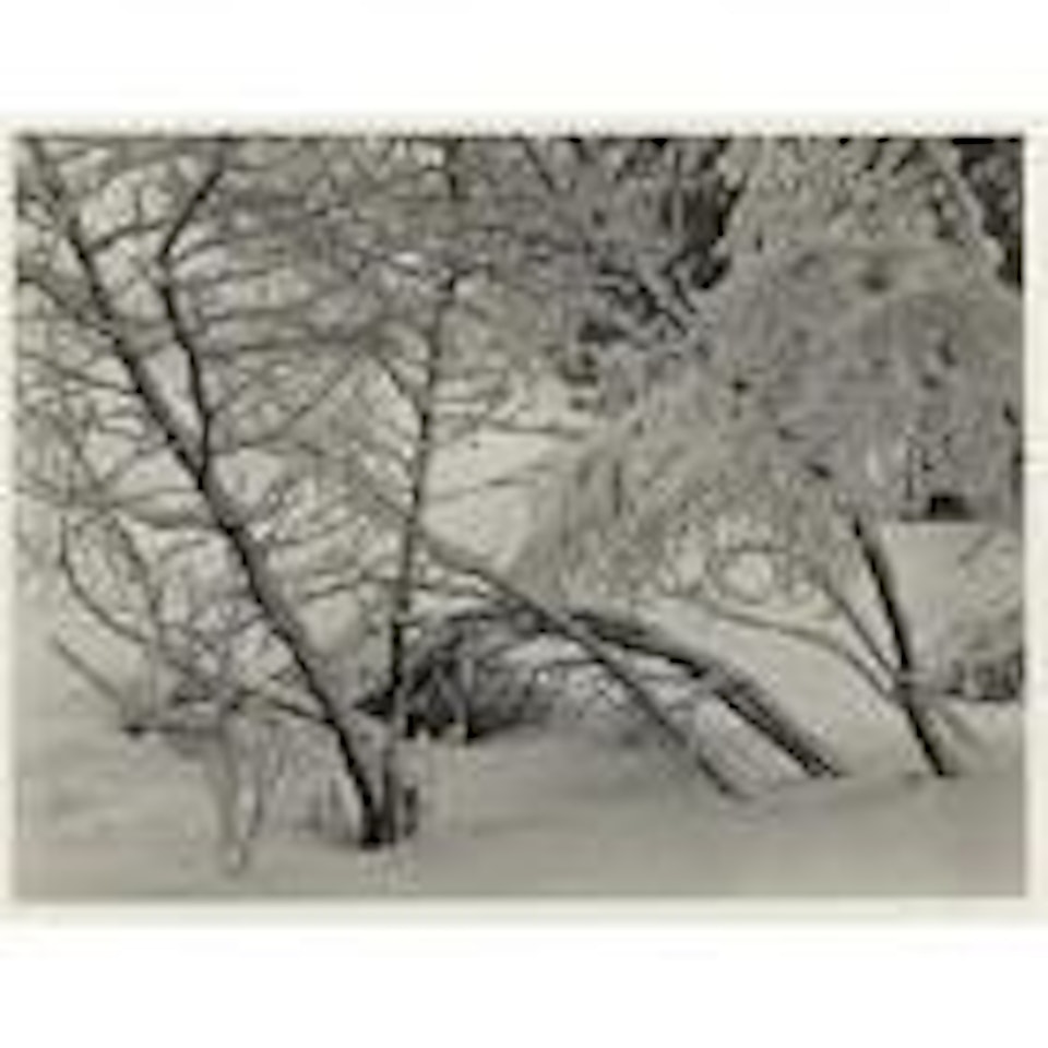 Winter, Yosemite by Ansel Adams