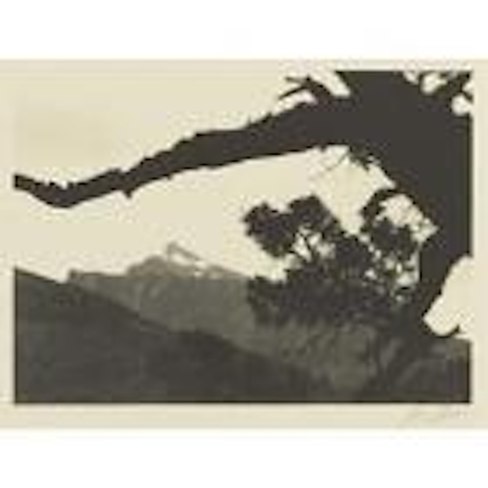 Seven gables by Ansel Adams