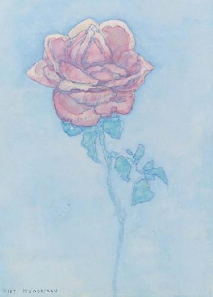 Rose by Piet Mondrian