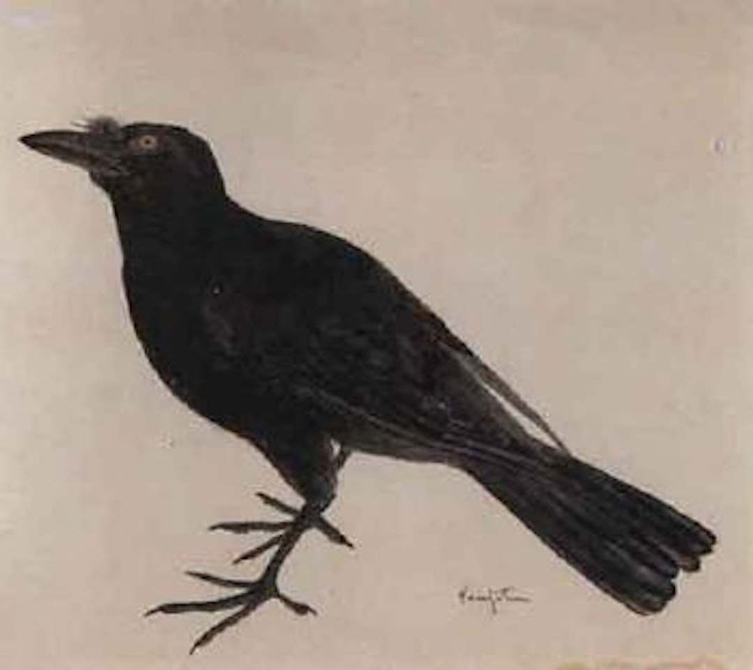 Cacatoes by Leonard Tsuguharu Foujita