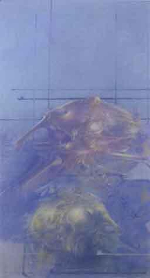 Formes separees by Dado