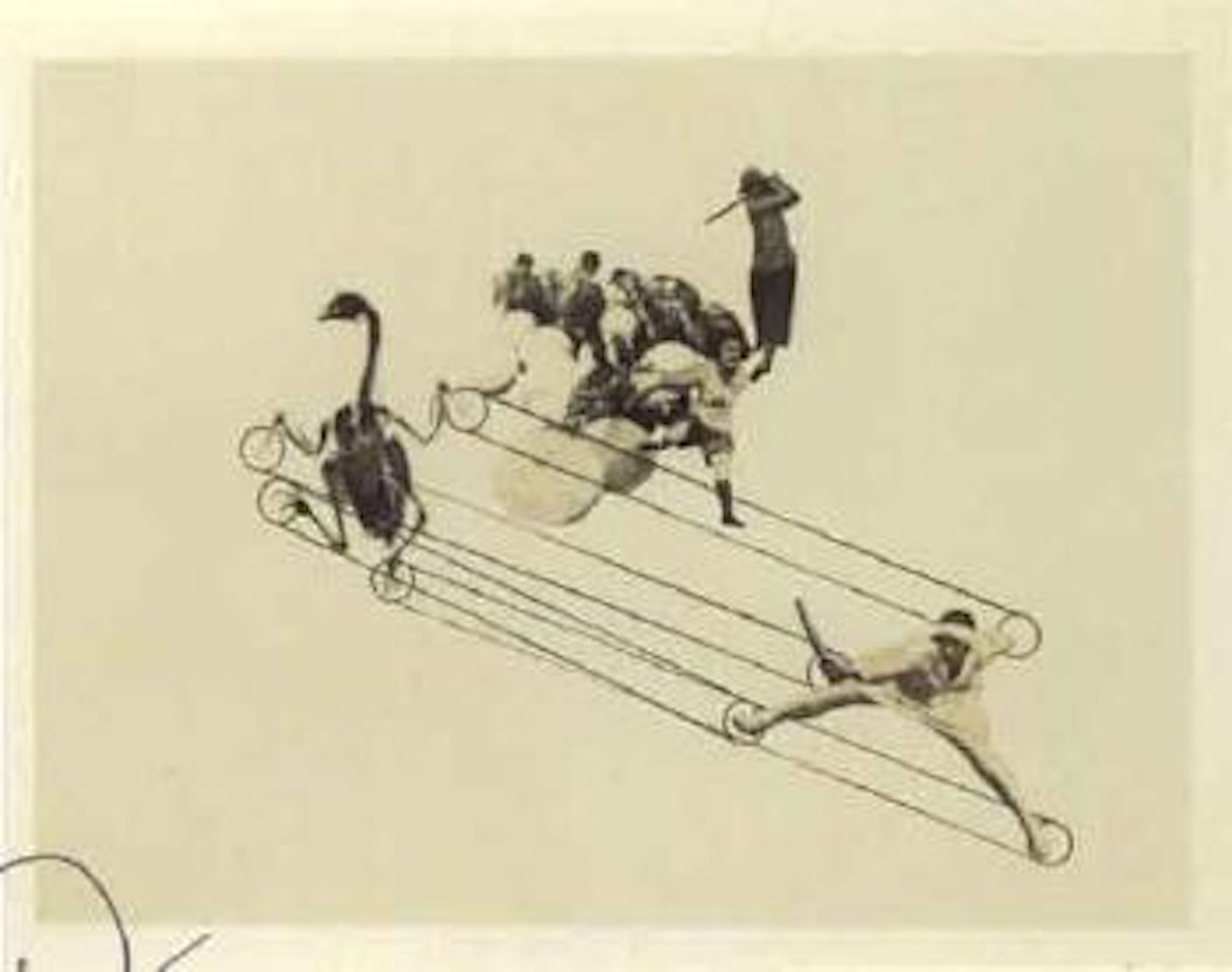 A chicken remains a chicken by László Moholy-Nagy
