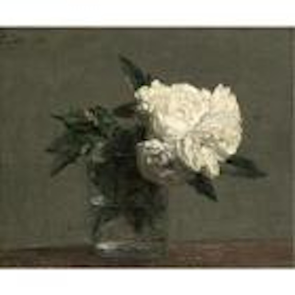 Roses by Henri Fantin-Latour