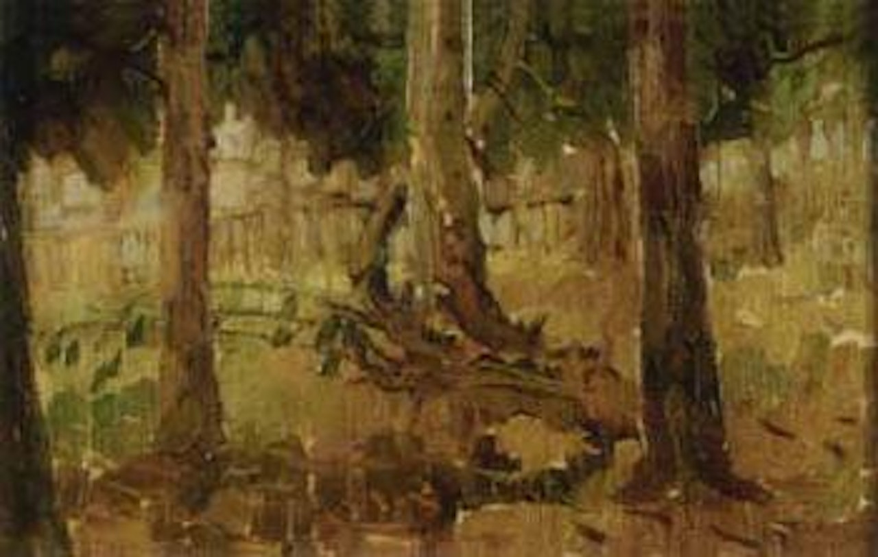 Trees by Pieter Wenning