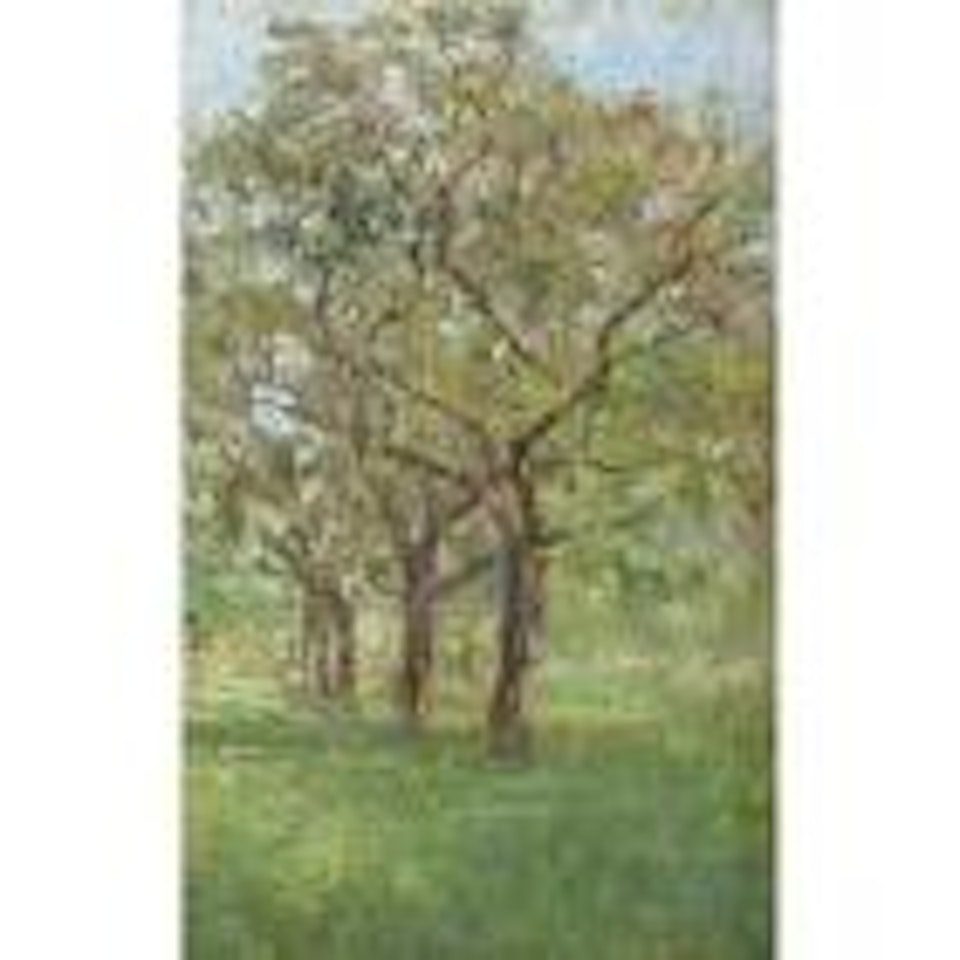 Apple trees in the orchard at Jupille by Ivan Pavlovitch Pochitonov