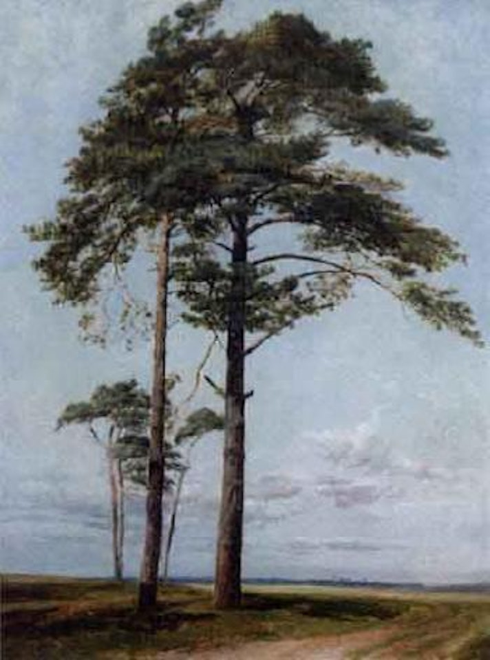 Fir trees by Thomas Sidney Cooper