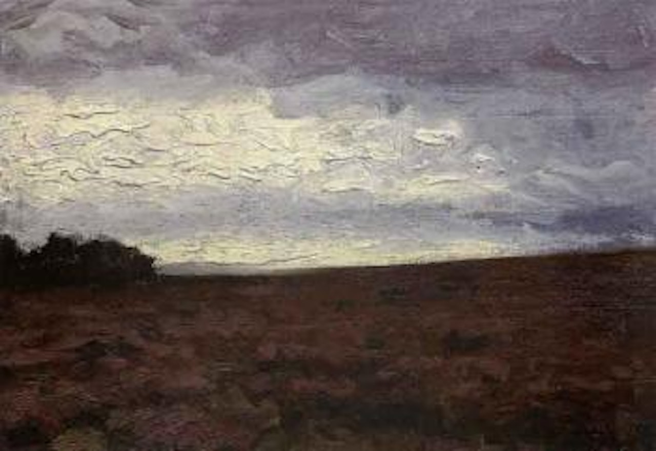 Heathland in evening by Hans am Ende