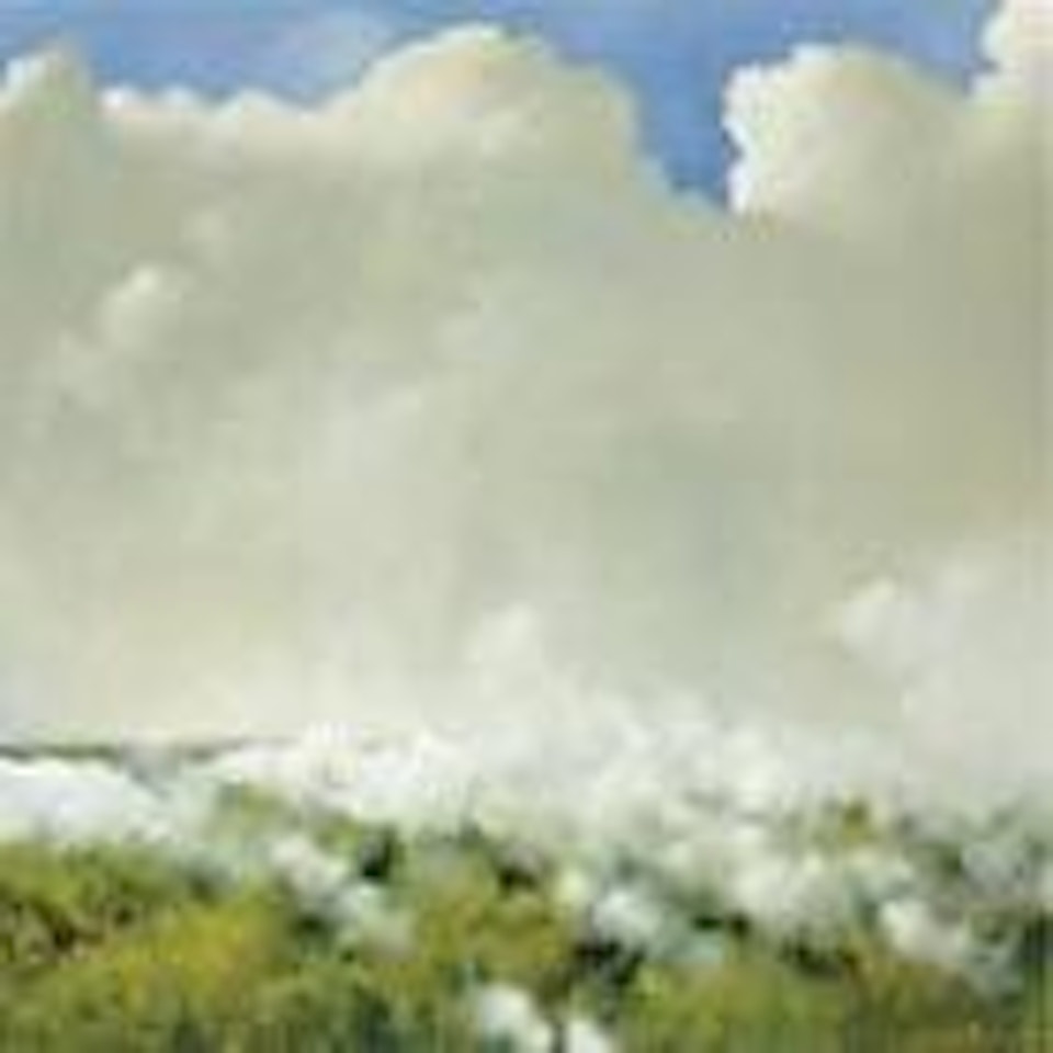 Flight of Northrop by Julio Larraz