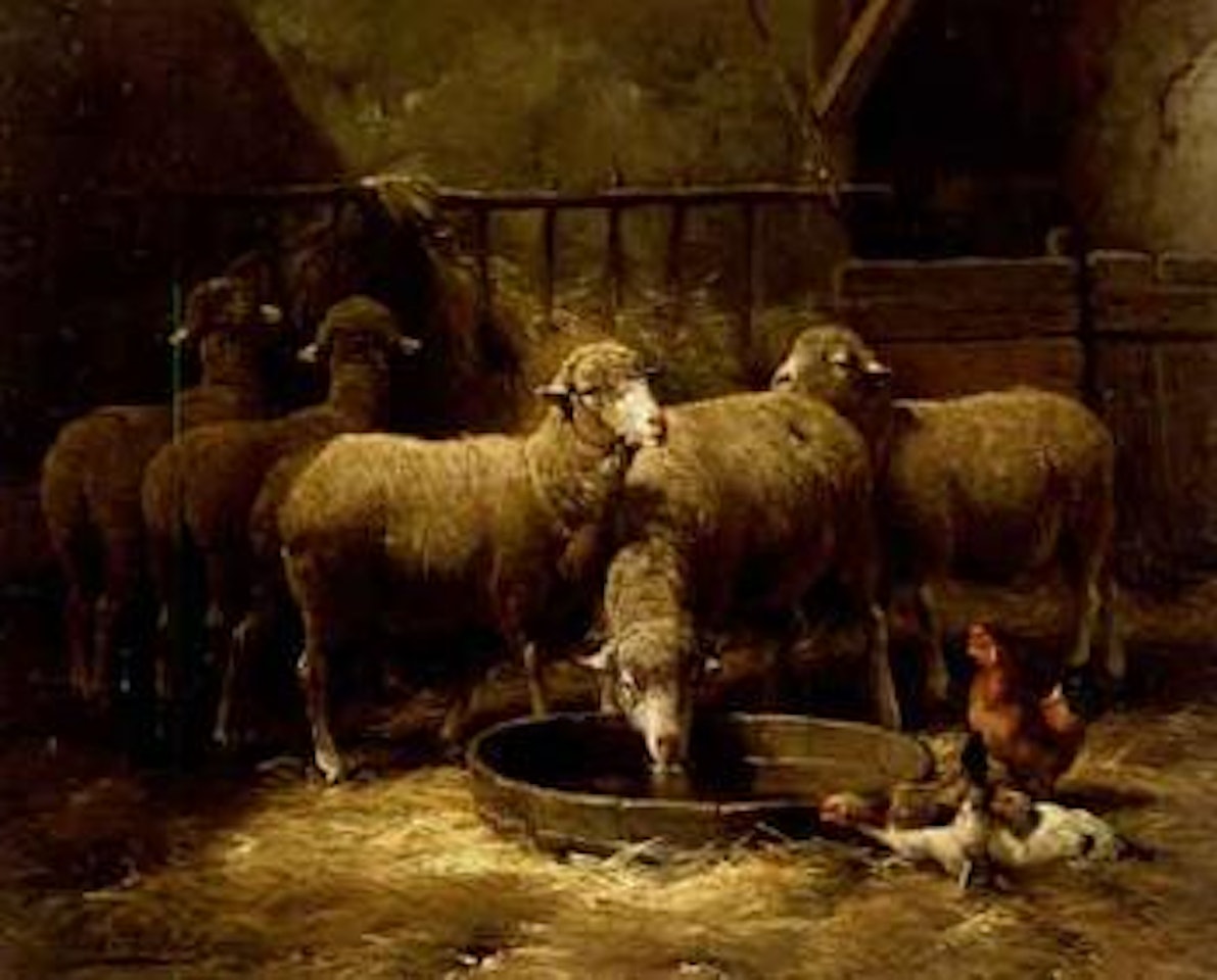 Sheep and chickens in a barn by Frans de Beul