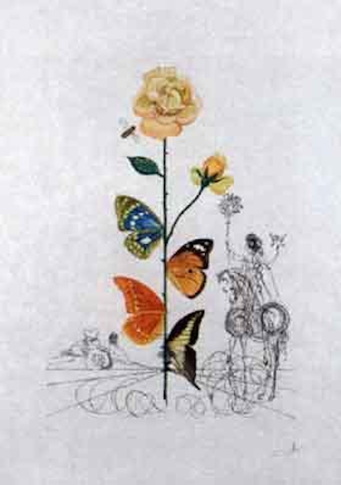 Rose by Salvador Dali