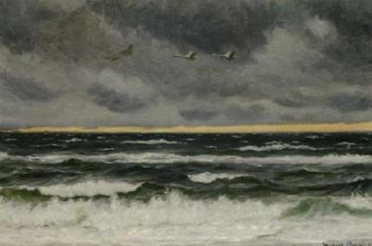 Two swans in flight over Vesterhavet at sunset by Michael Ancher