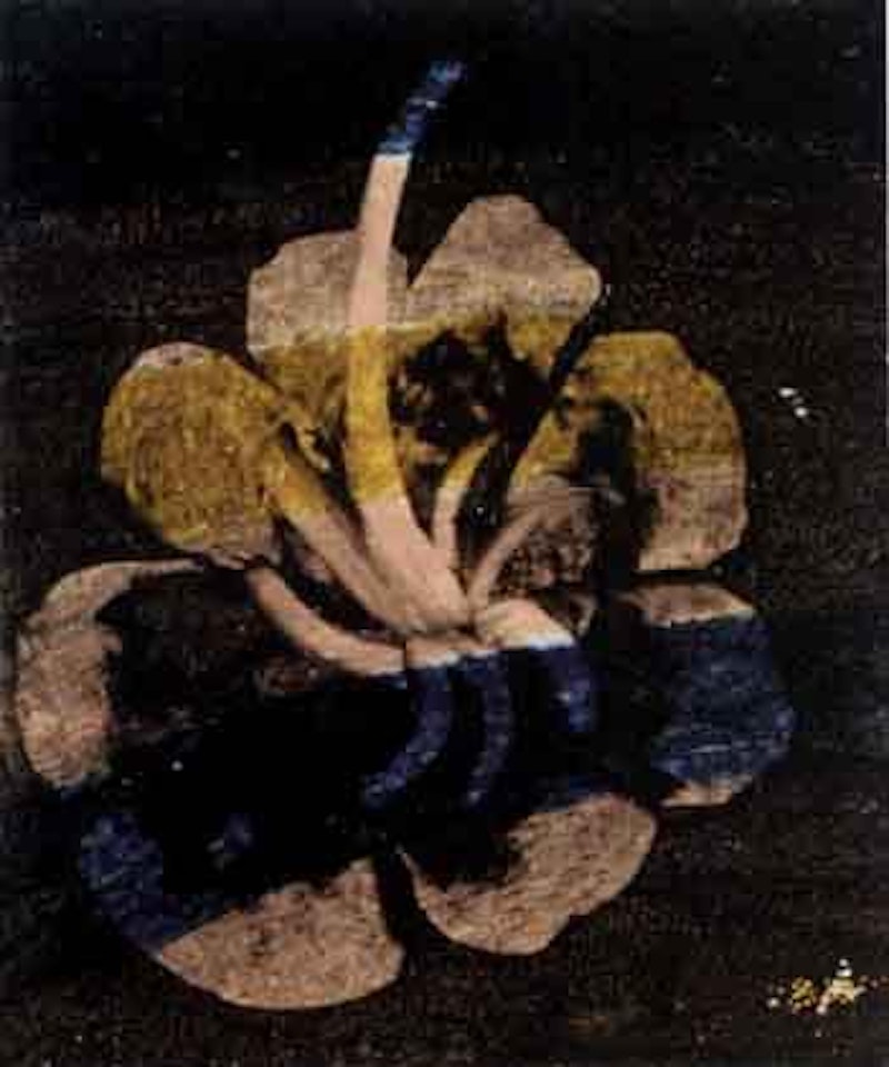 Paradise garden by Sidney Nolan