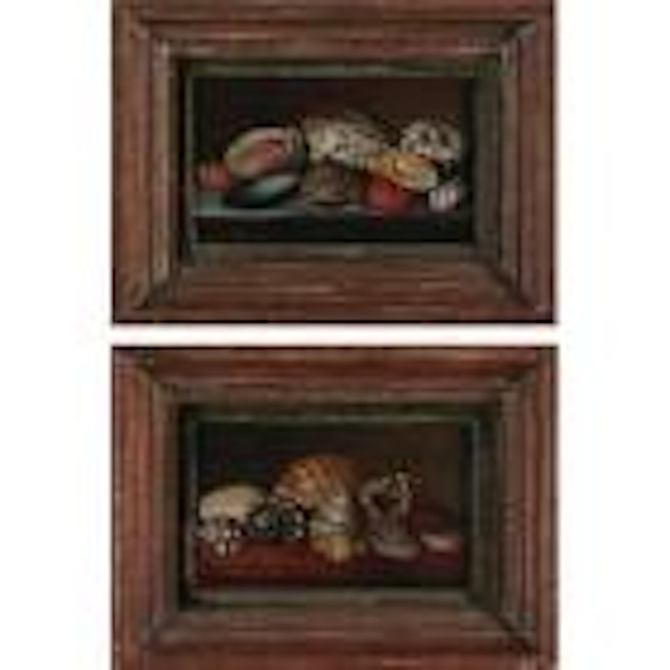 Still lifes with shells by German School