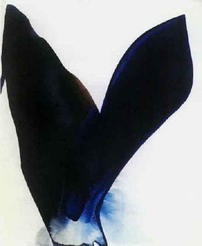 Phenomena blue span by Paul Jenkins