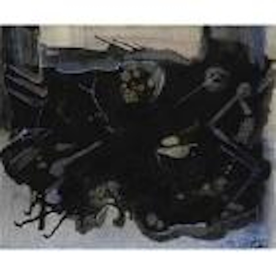 Cypris surprise by Gianni Bertini