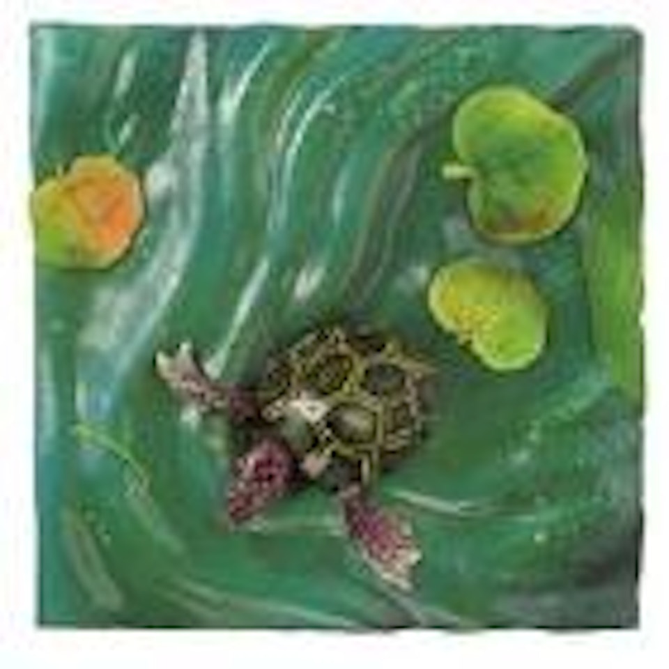 Turtle by Piero Gilardi